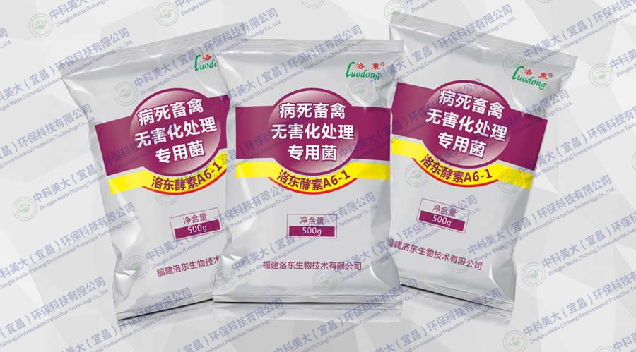 &#20048;&#40060;&#32593;&#39029;&#29256;&#45;&#20048;&#40060;&#40;&#20013;&#22269;&#41;