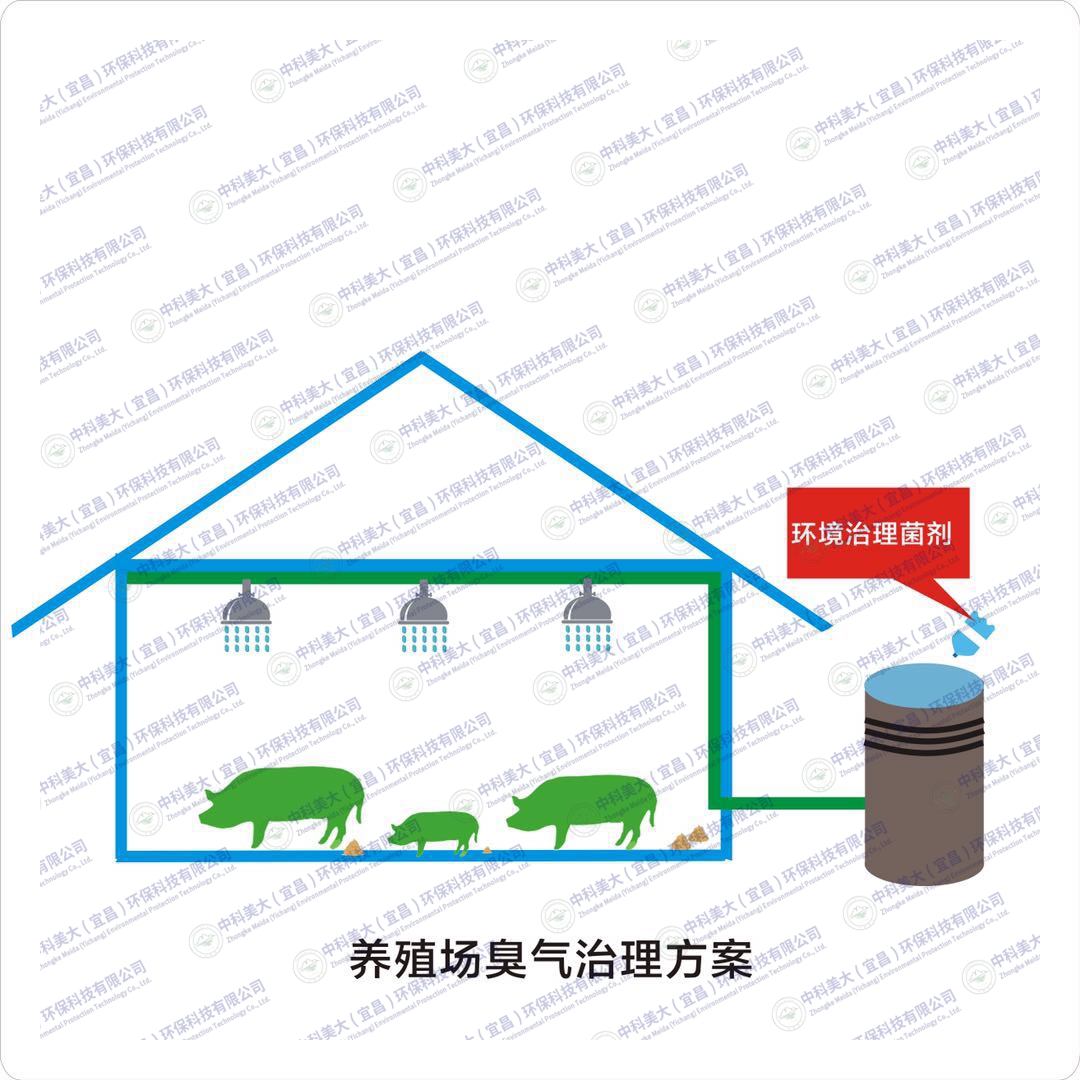 &#20048;&#40060;&#32593;&#39029;&#29256;&#45;&#20048;&#40060;&#40;&#20013;&#22269;&#41;