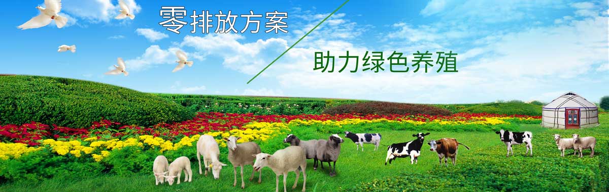 &#20048;&#40060;&#32593;&#39029;&#29256;&#45;&#20048;&#40060;&#40;&#20013;&#22269;&#41;